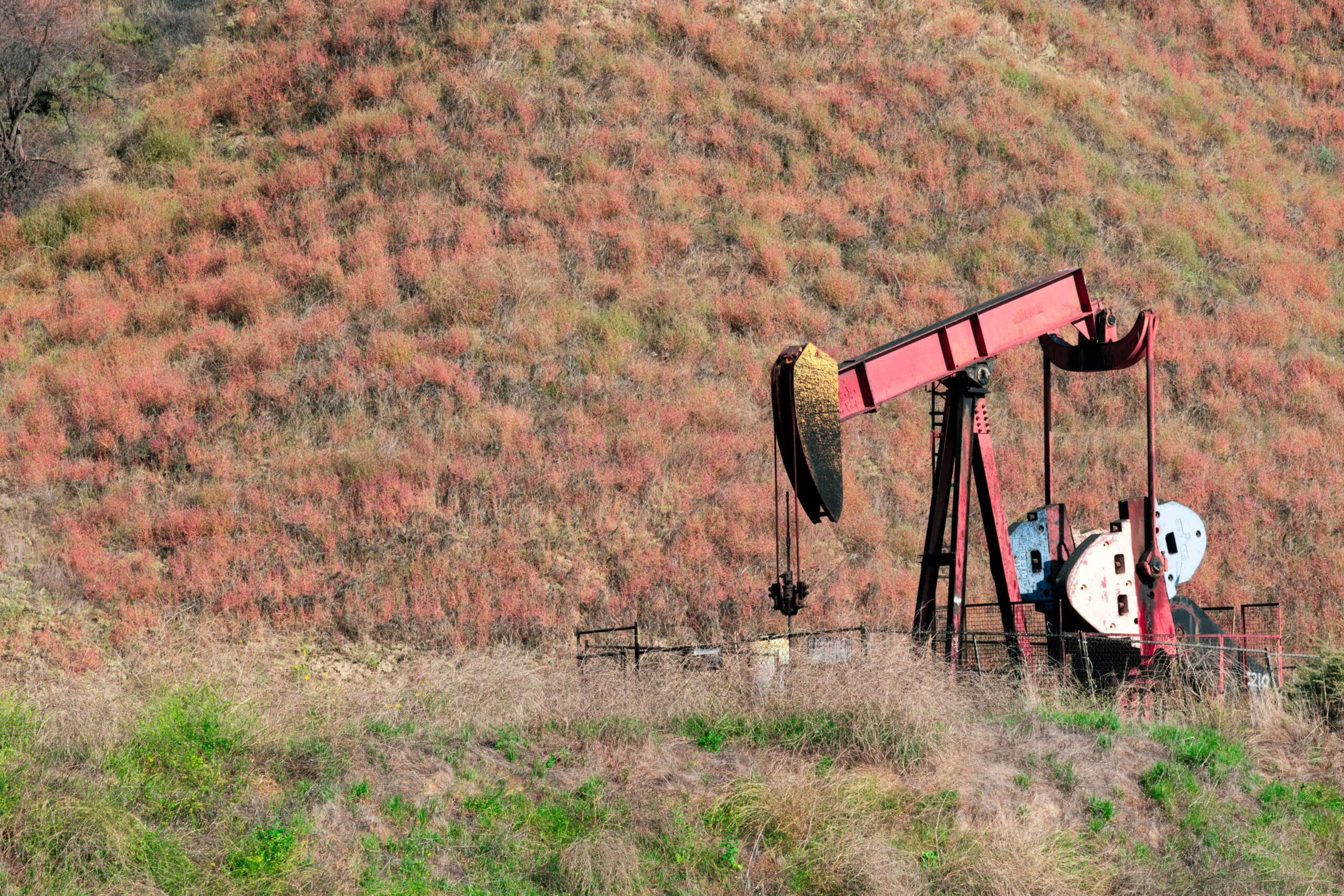 An aging pumpjack standing on a brushy hillside, representing the legacy conventional wells that still sit alongside modern Marcellus pads across Doddridge County, West Virginia