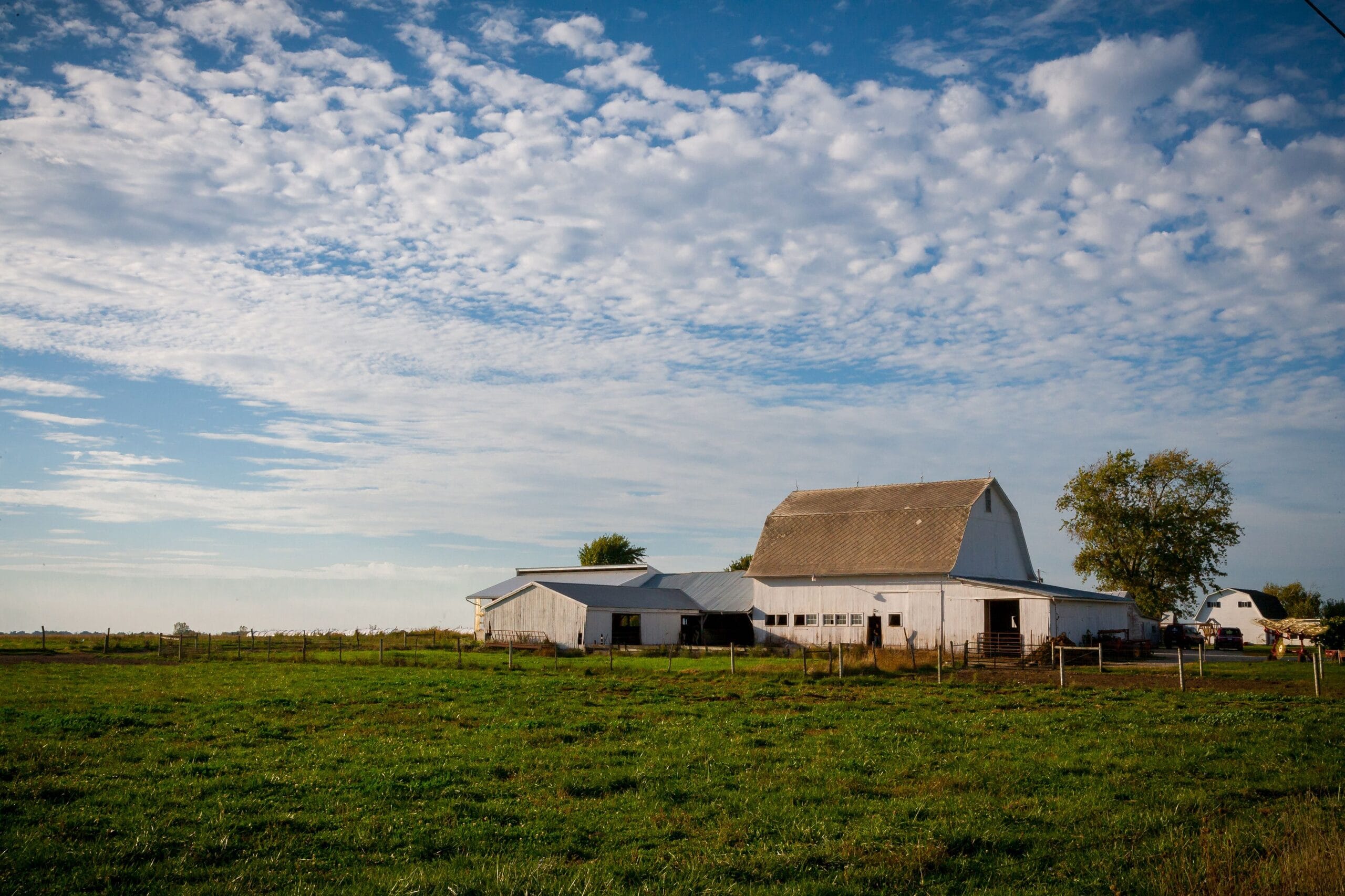 A white barn and outbuildings under an open sky on eastern Ohio farmland, representing the surface estates beneath which severed oil and gas interests are still held by scattered heirs