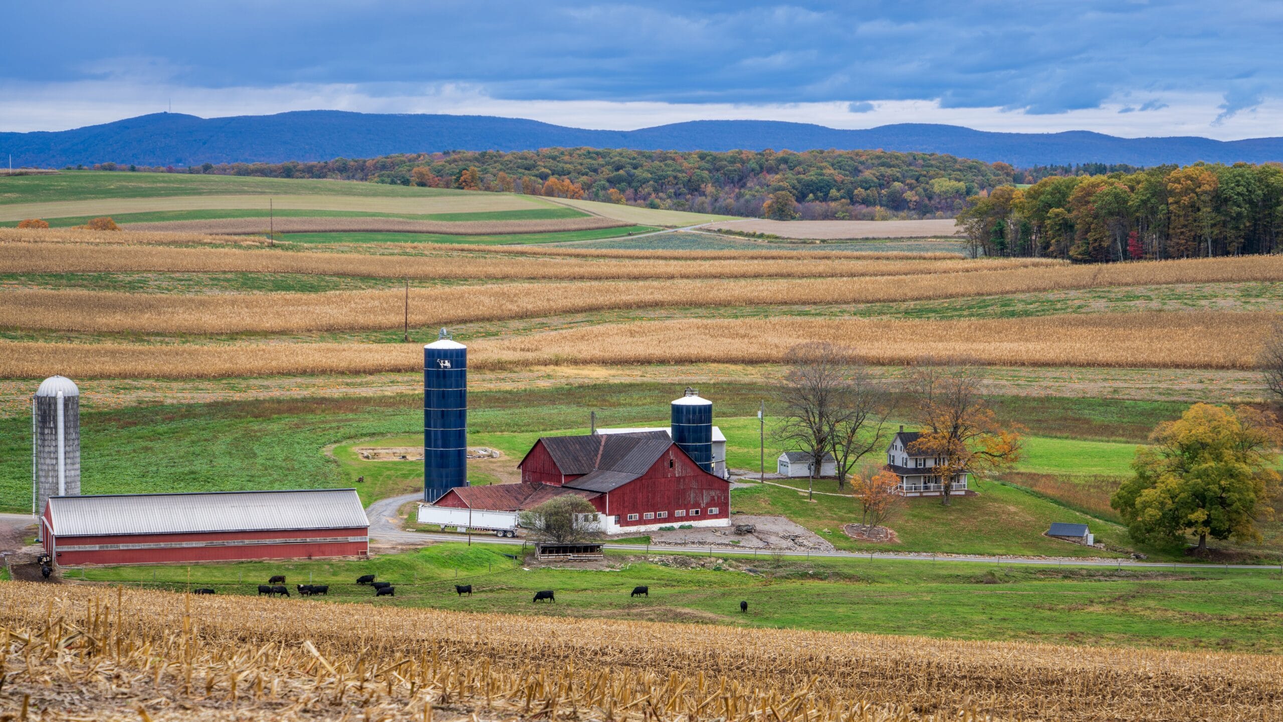 A working eastern Ohio farm with red barns, silos and cattle set among rolling cornfields, the kind of property whose oil and gas rights were severed from the surface generations ago
