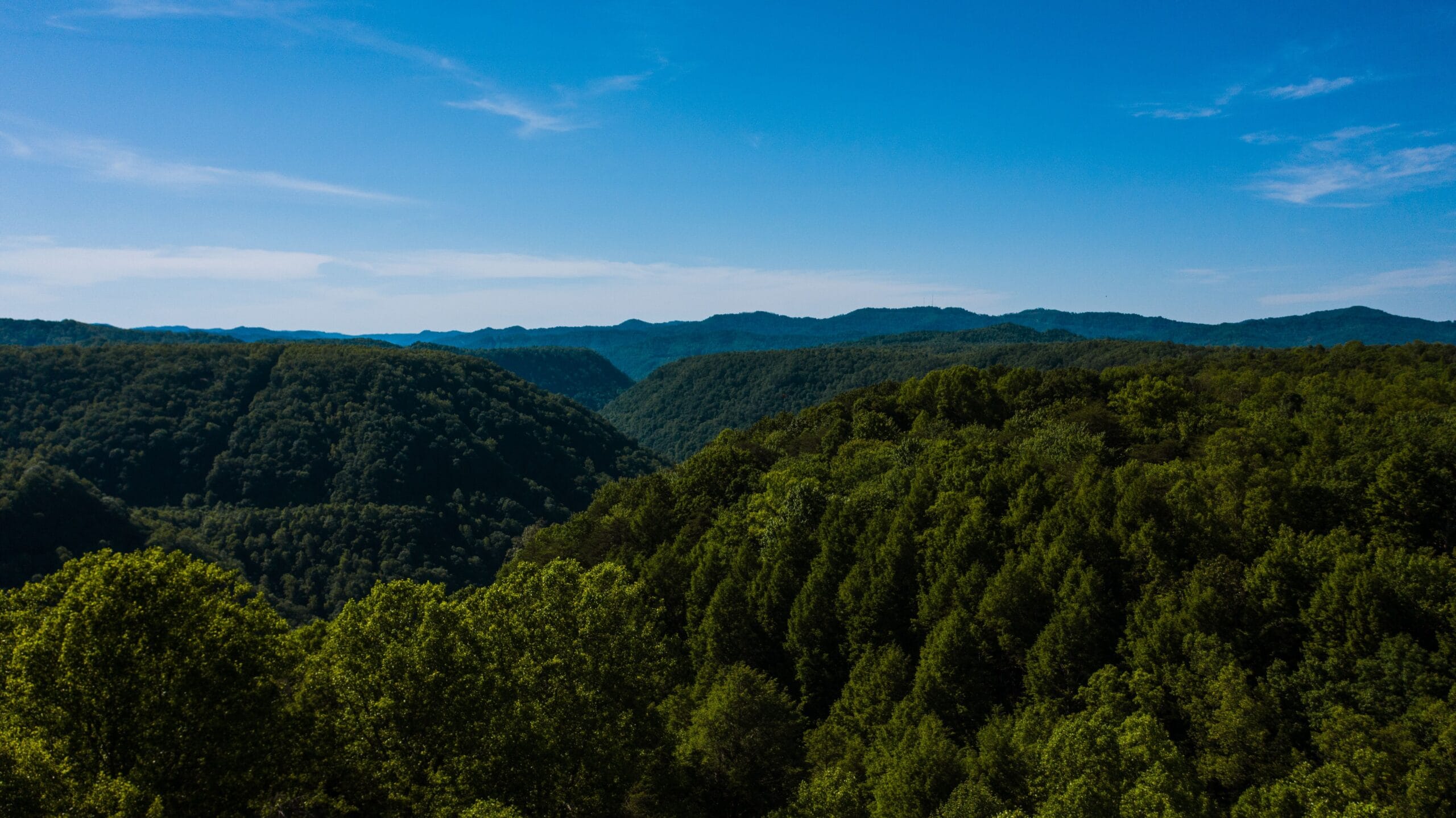 Steep wooded hollows and ridgelines in northern West Virginia, the kind of fragmented hill country where Wetzel County mineral tracts are held by dozens of scattered heirs