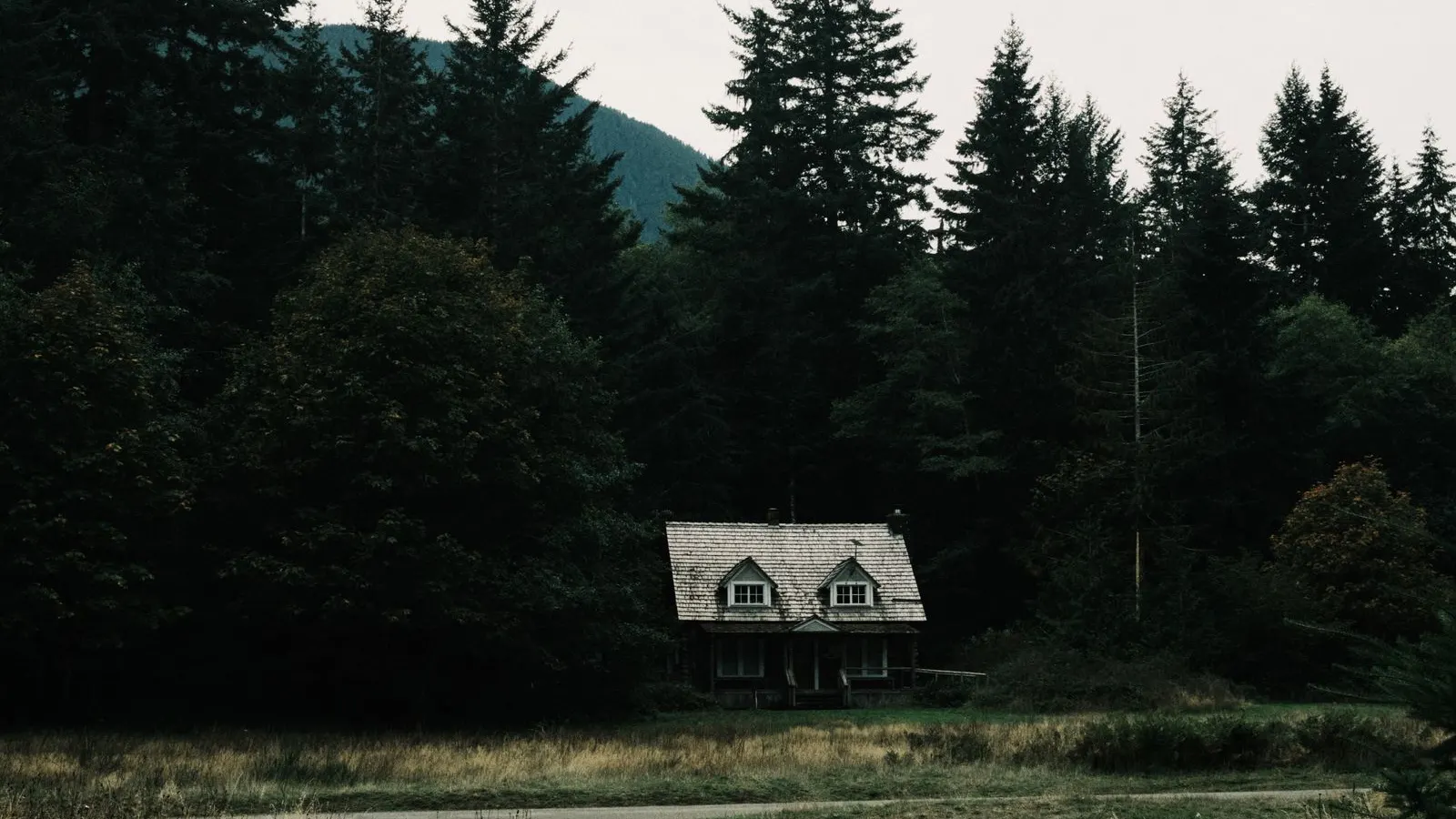 A farmhouse at the edge of pine woods in north Louisiana, representing the family homesteads whose DeSoto Parish mineral servitudes are now divided among heirs.