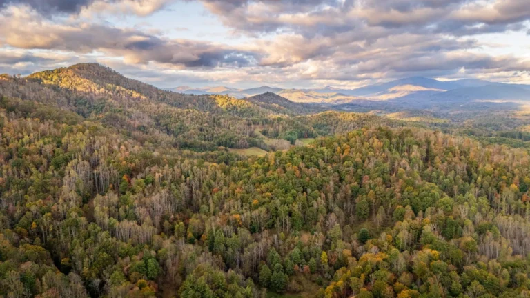 Appalachian mountains landscape in West Virginia